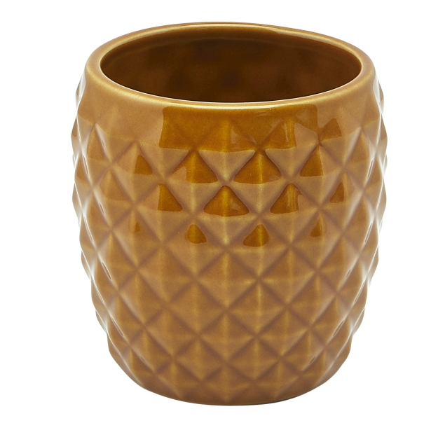 Ananas - Tiki Marron - x1 -