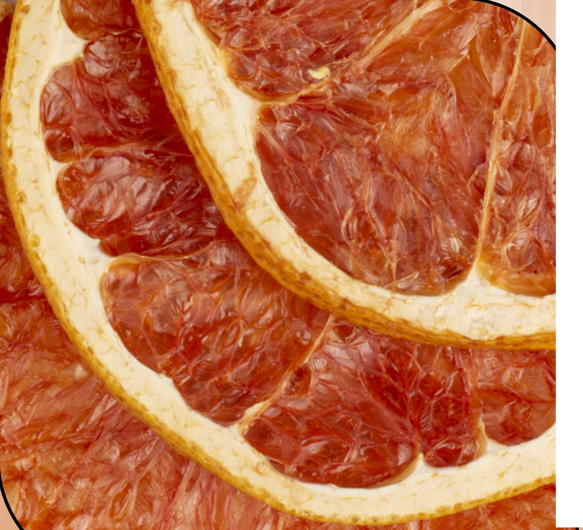 Garnish - Pamplemousse - 80 pièces - Extradry