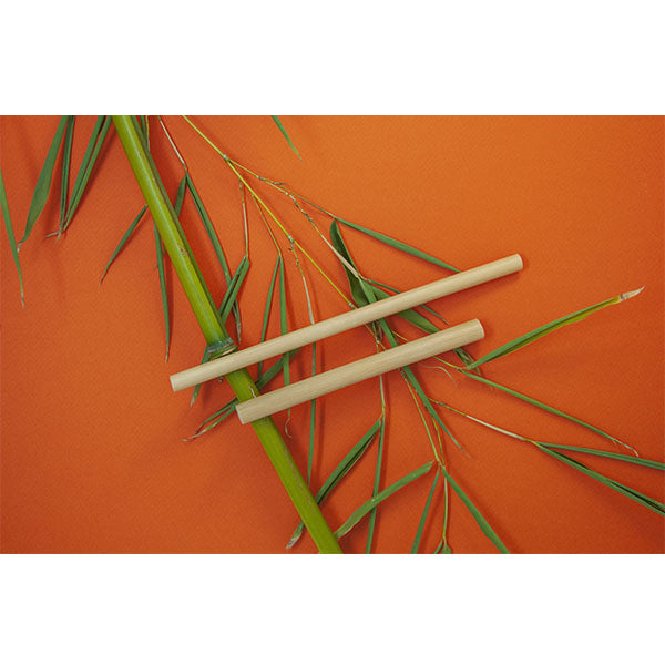 Pailles réutilisables - Bambou - 20cm x 6 à 9 mm - x150 -