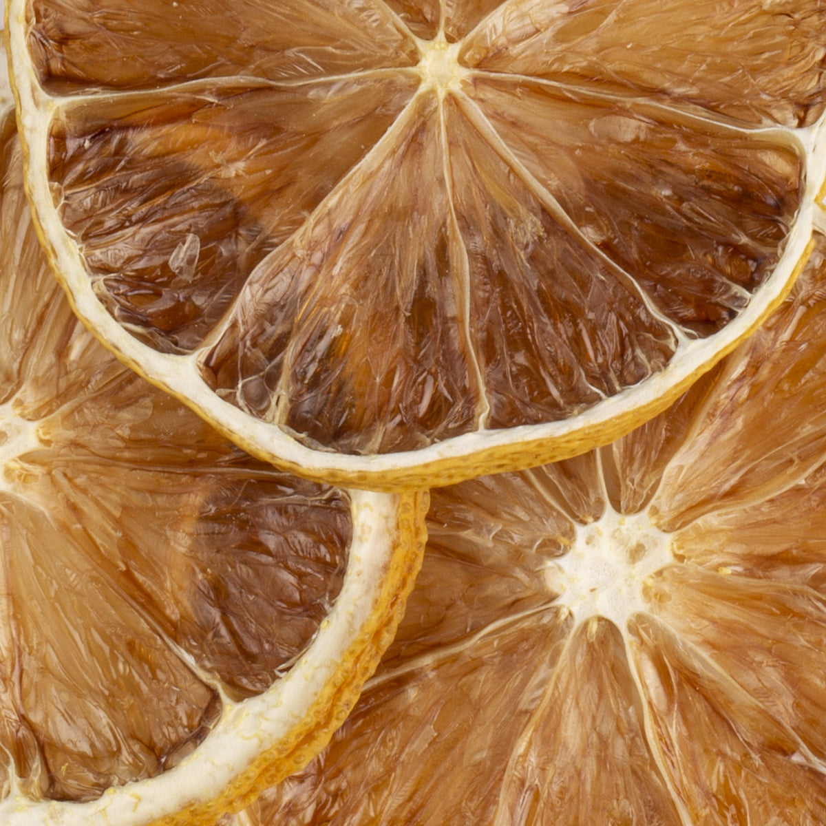 Garnish - Citron - 125 pièces - Extradry