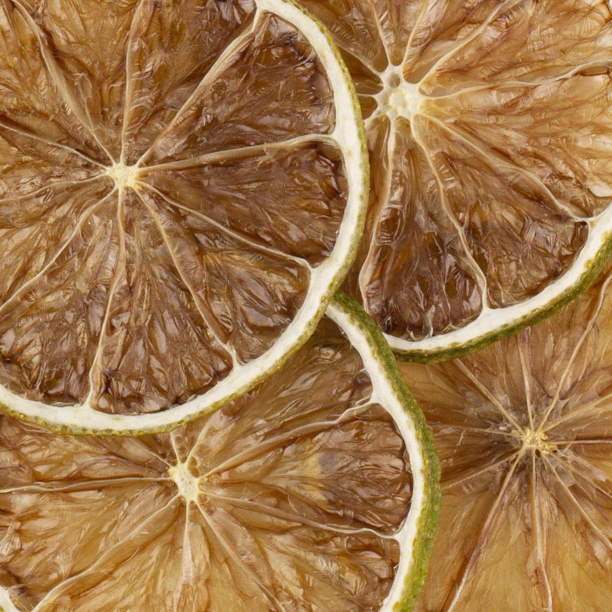 Garnish - Citron vert - 20 pièces - Extradry