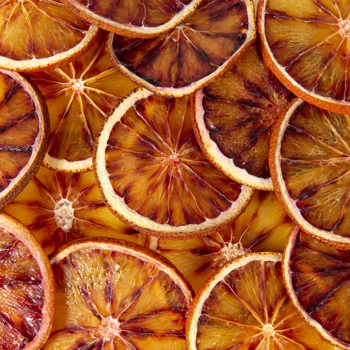 Garnish - Orange sanguine - 90 pièces - Extradry