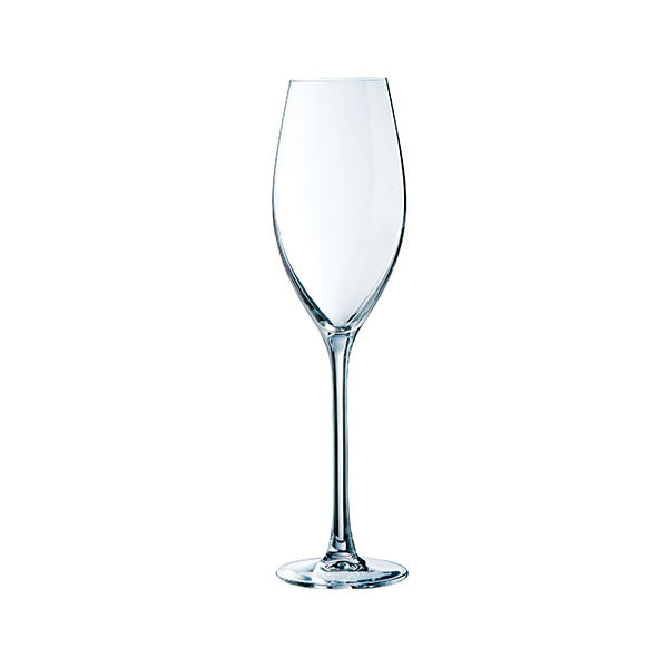 Flûte à champagne Chef & Sommelier Grands Cépages 25 cl, photo fournisseur sur fond blanc