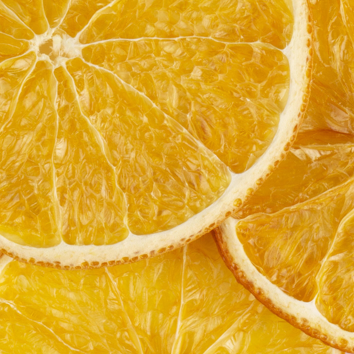 Garnish orange déshydraté Extradry, 100 pièces, photo fournisseur sur fond blanc