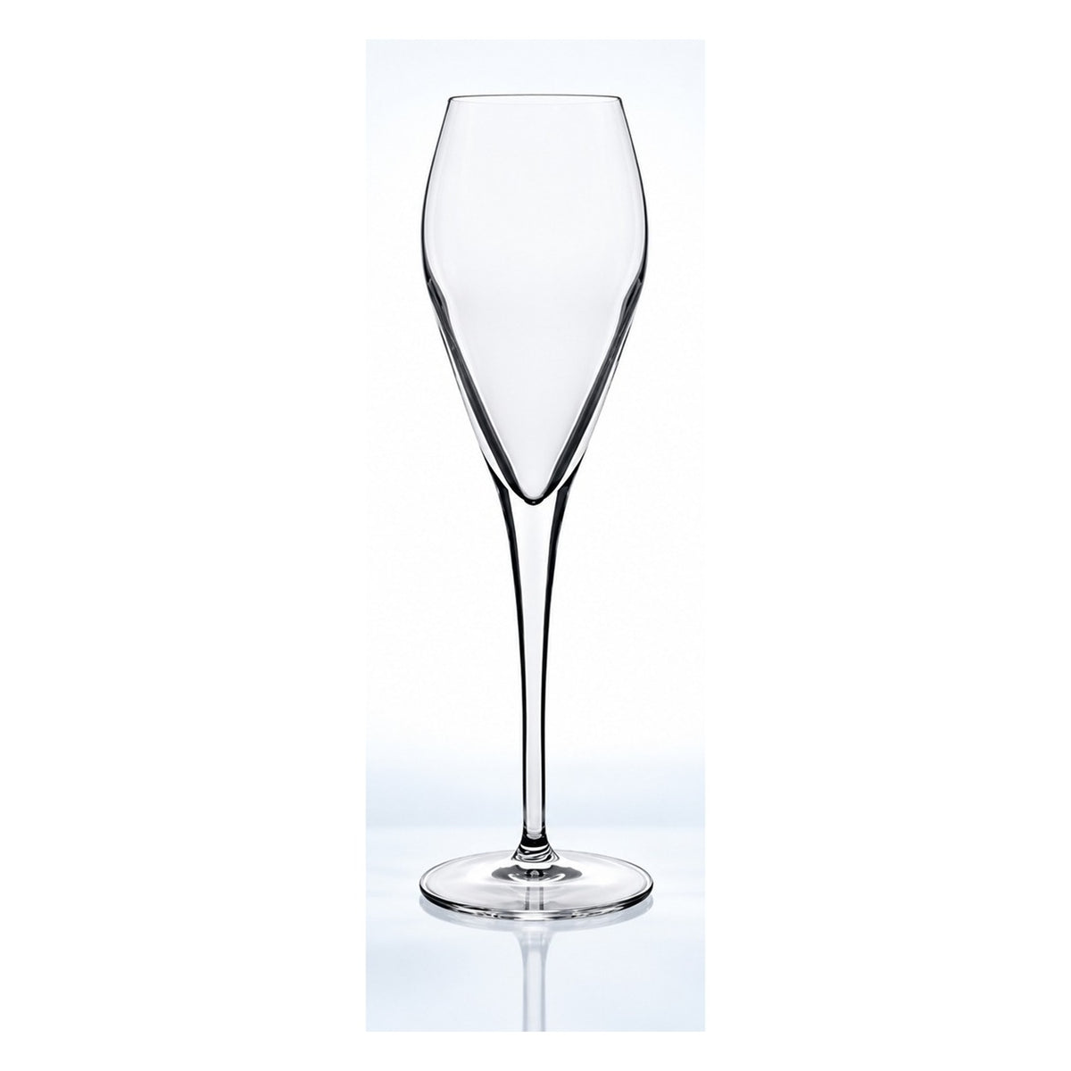 Flûte à champagne Luigi Bormioli Prestige 20 cl, vu de face sur fond clair
