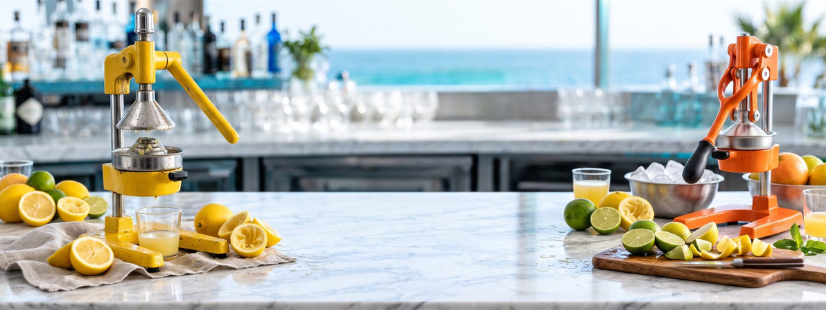 Presse-agrumes : matériel et verrerie de bar professionnels BWA pour CHR, hétels et restaurants